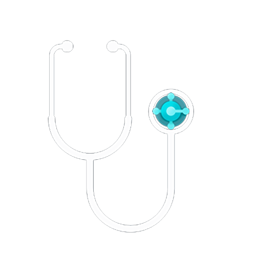 Business Health Check Icon